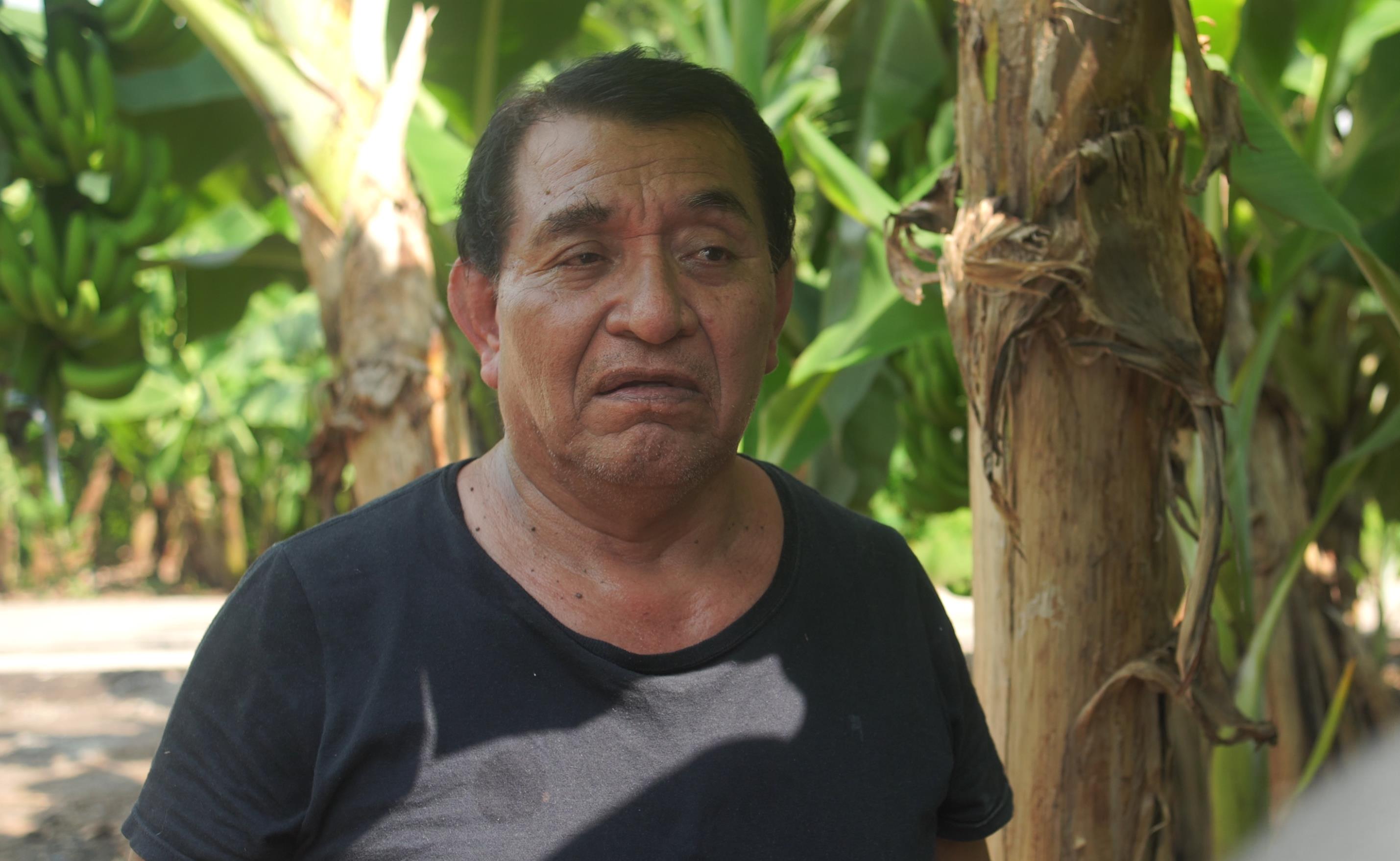 Don Rogelio